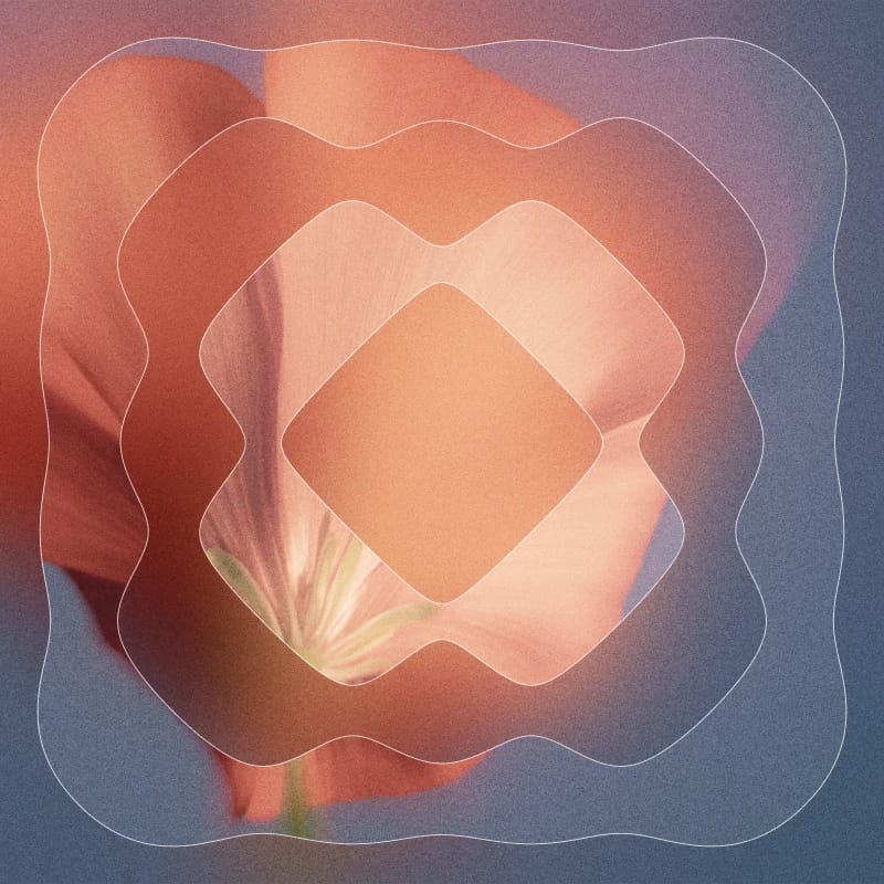 Voice Library Graphic 1